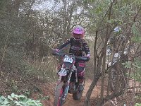 IMG 2384