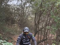 IMG 2433