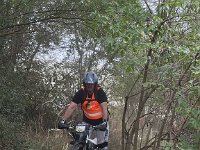 IMG 2452