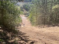 IMG 2480