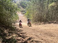 IMG 2481