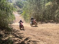 IMG 2482