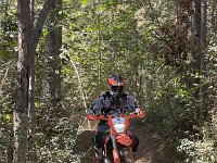 IMG 2491