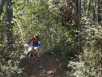IMG 2493