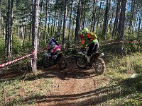 IMG 2503