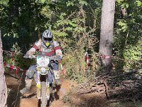 IMG 2561