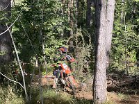 IMG 2564