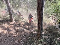 IMG 2593