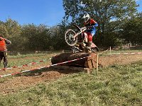 IMG 2601