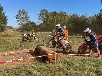 IMG 2629