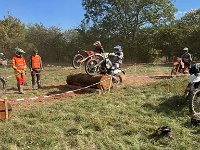 IMG 2635