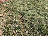IMG 2643