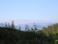 IMG 8846
