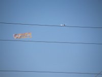 IMG 8880
