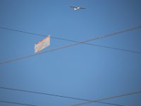 IMG 8881