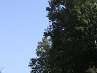 IMG 3372