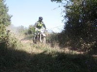 IMG 3564