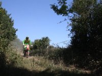 IMG 3565