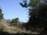 IMG 3566