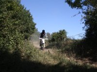 IMG 3567