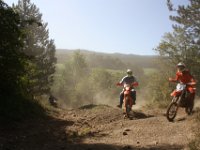 IMG 3582