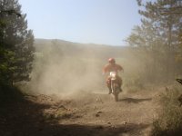 IMG 3591