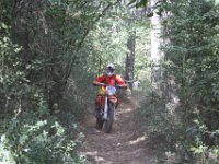 IMG 3731