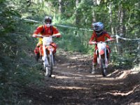 IMG 4161