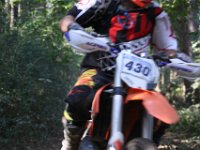 IMG 4184