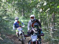 IMG 4247