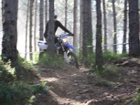 IMG 4275
