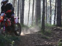 IMG 4285