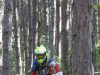 IMG 4386