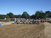 IMG 4473
