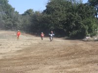 IMG 4662