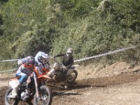 IMG 4680
