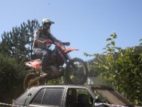 IMG 4774