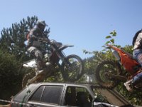 IMG 4775