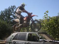 IMG 4782