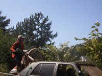 IMG 4858