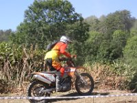 IMG 4870