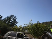 IMG 4902