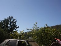 IMG 4904