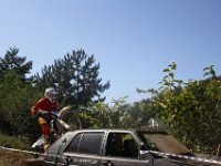 IMG 4931