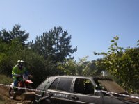 IMG 4935