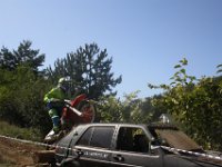 IMG 4936
