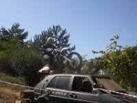 IMG 4953