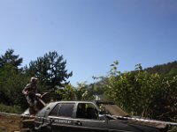 IMG 4967