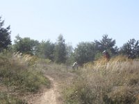 IMG 5191