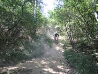 IMG 5906